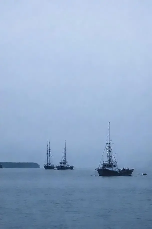 归港 纪录片 封面 · 人文 纪实